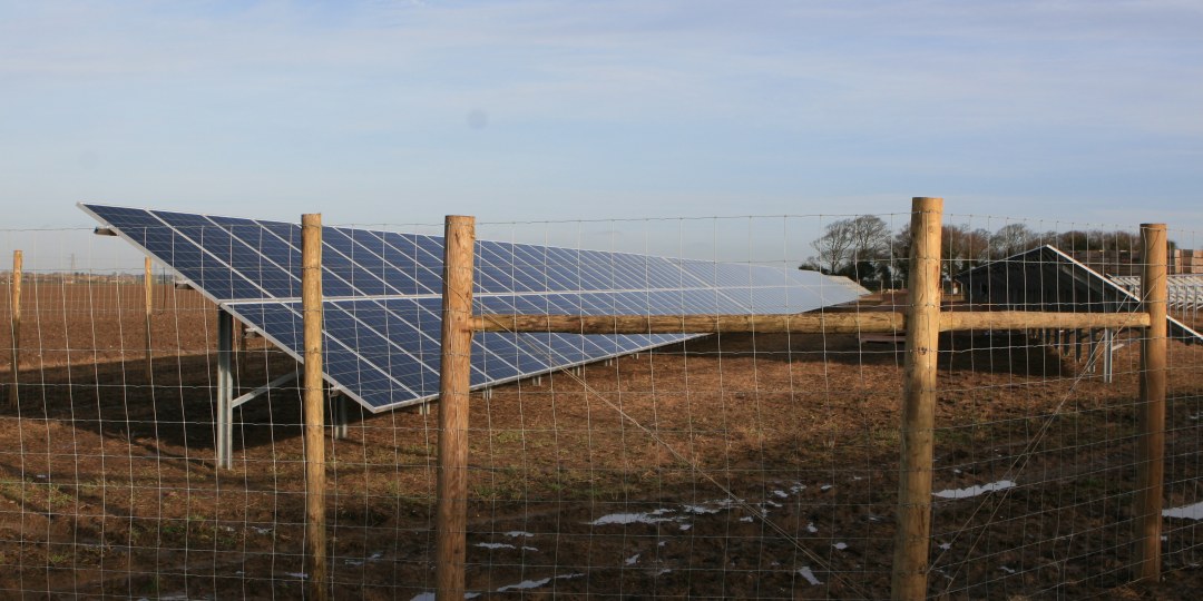 Solar PV panels generating green energy and supporting biodiversity on Woodchurch Farm