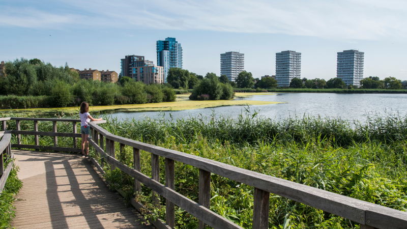 A view looking out over the water of the Hackney Marshes